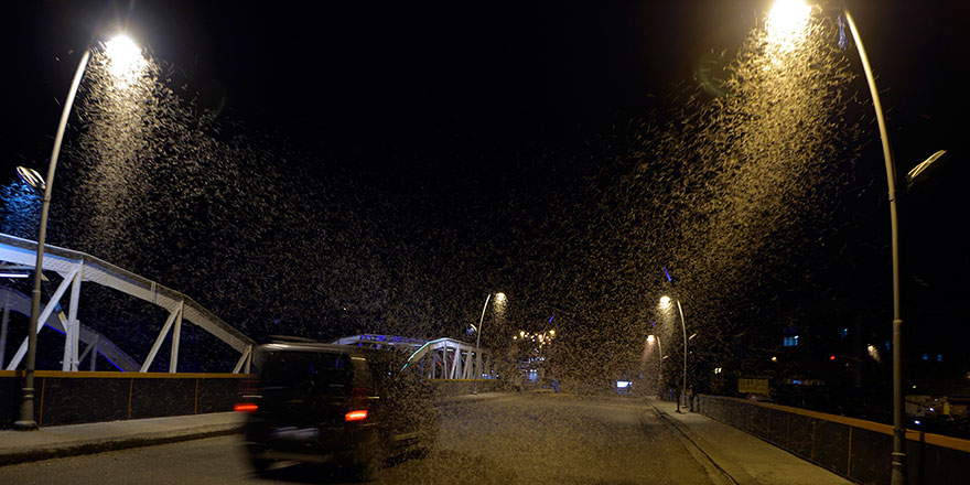 'Bir günlükler'in kar yağışını andıran 'ölüm uçuşu'