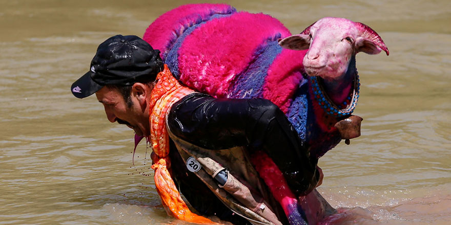 UNESCO listesindeki 8 asırlık gelenek: Sudan Koyun Geçirme