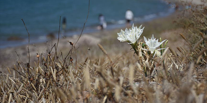 Şehir stresinden bağ bozarak kurtuluyorlar