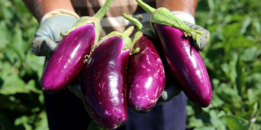 Eylülde fiyatı en fazla artan ürün patlıcan, en çok düşen limon