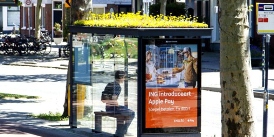 Otobüs duraklarının çatısı arılar için küçük tarlaya dönüştürüldü