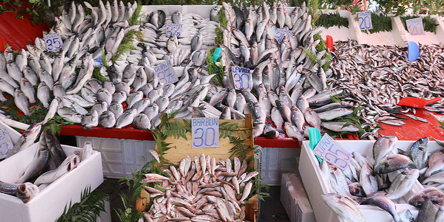 Bu sene balık nimeti bereketli olacak inşallah