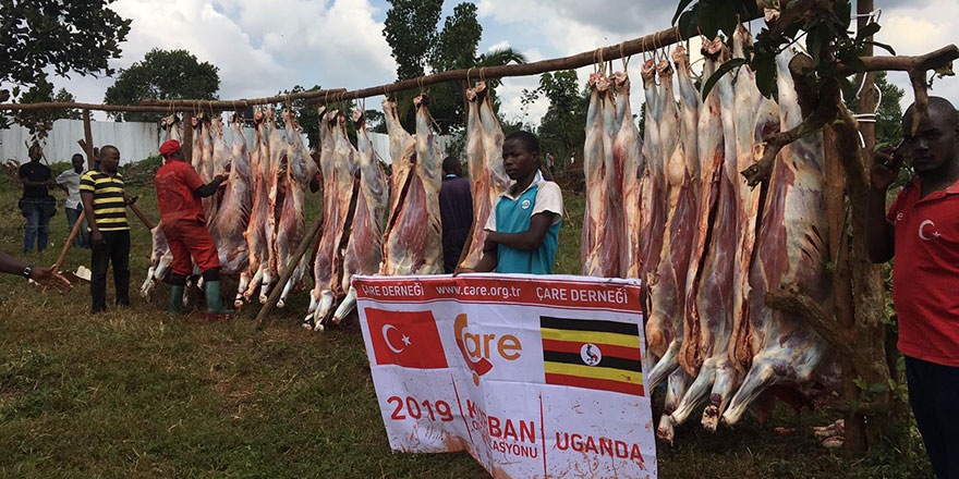 'Kurbanını Seyret' sloganıyla 10 yılda 10 binlerce kurban