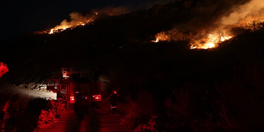 Muğla'nın Bodrum ilçesinde makilik alanda yangın çıktı