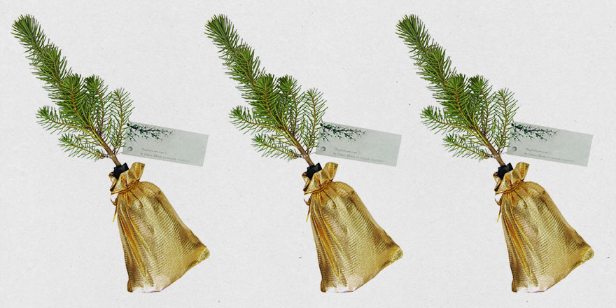 Güzel bir uygulama: Nikah şekeri yerine fidan dağıttılar