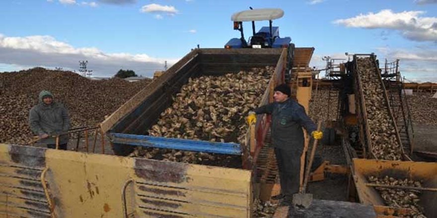 Pancar şekeri satışlarında Cumhuriyet tarihimizin rekoru kırıldı
