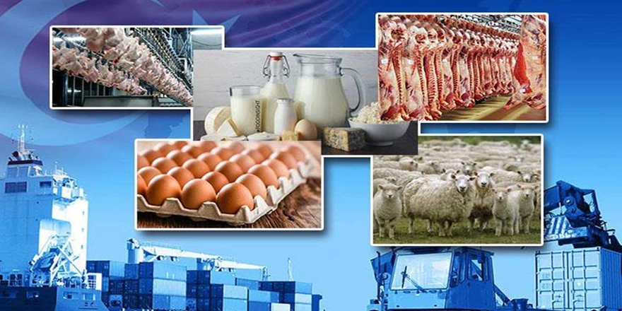 Hayvansal ürünlerin ihracatı arttı