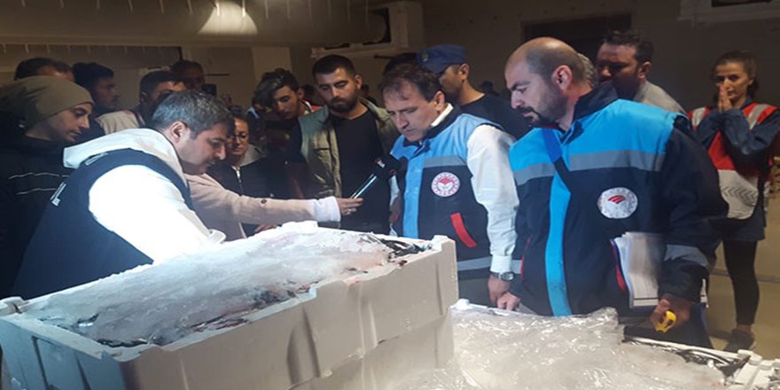 Balık boyu denetimine takılan 2 ton balığa el konuldu