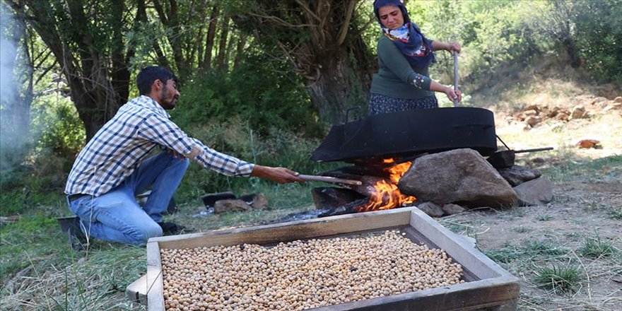 Tarladan sofraya 'Ağın leblebisi'nin lezzet yolculuğu