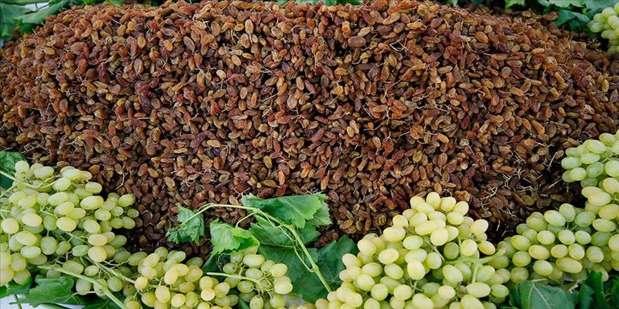 TMO'dan çekirdeksiz kuru üzümde 10 bin tonluk alım