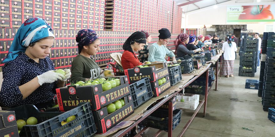 2 bin nüfuslu köyde 2 bin 500 kişiye istihdam sağlanıyor