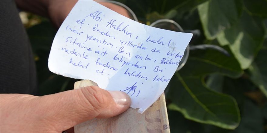 Yıllar önce yediği incir için ağaca para bıraktı