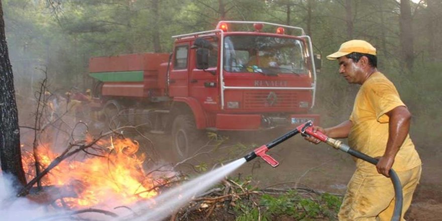 Bu yıl orman yangınlarında 5 bin 469 hektar alan zarar gördü