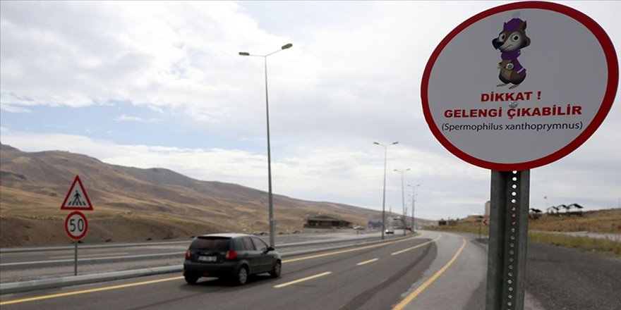 Elif'in elektronik postası ile gelengiler rahat edecek