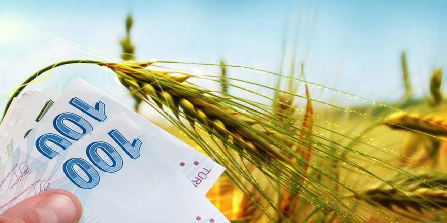 Çiftçilere 374 milyon lira destek ödemesi yapıldı
