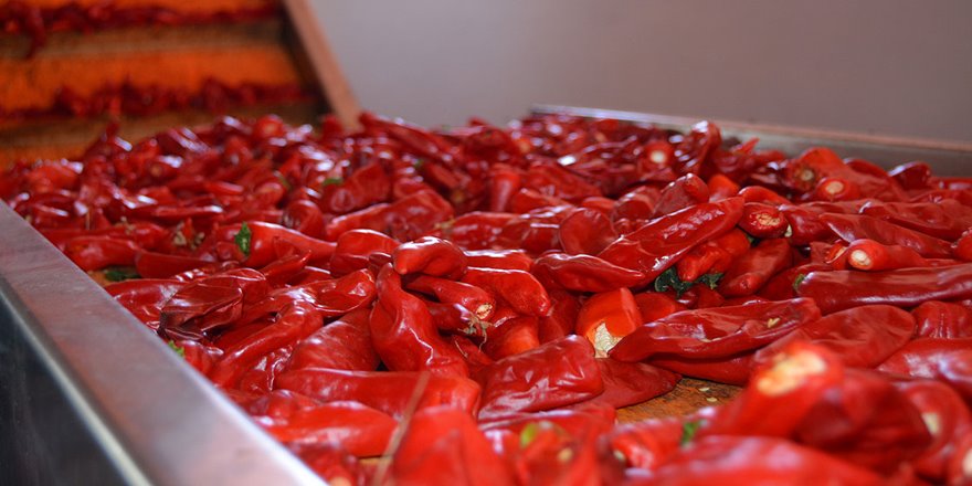 Türkiye'nin 'acısı' 91 ülkeyi yaktı