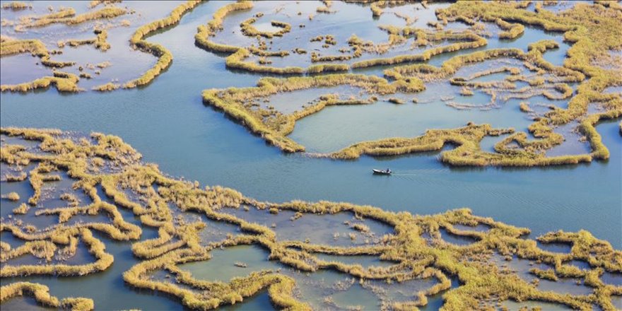 Turistlerin gözdesi: Labirent görünümlü sazlıklar