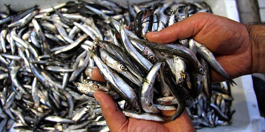 Balıkçılar havanın soğumasını bekliyor