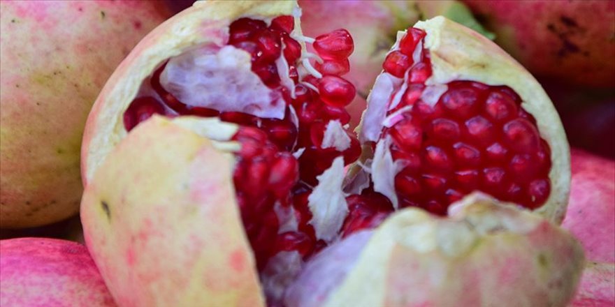 'Deve dişi nar' üreticisinin yüzünü güldürdü