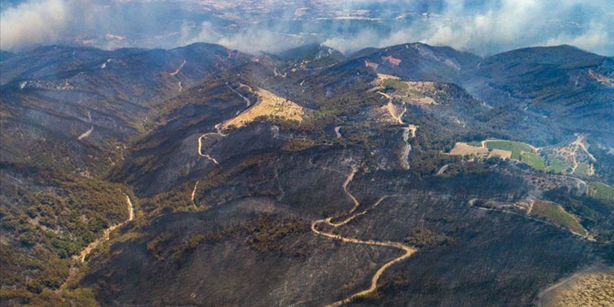 Yanan ormanın eski haline dönmesi için 30 yıl gerek