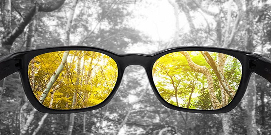 Renk körlüğü olanlar üniversite tercihine dikkat: Açıkta kalabilirsiniz