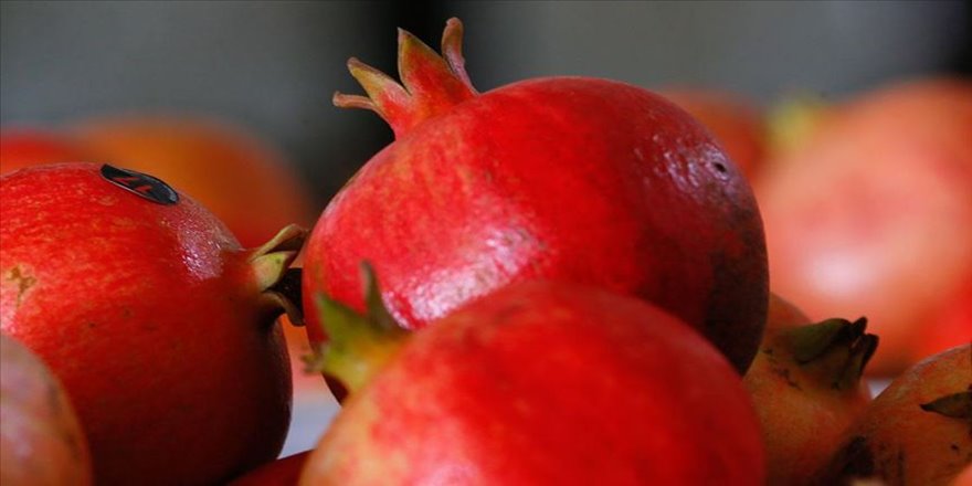 Kaliteli Türk narı ihracatı artacak