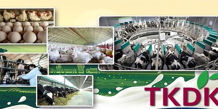 Bakan Pakdemirli, kırsal kalkınmaya 970 milyon liralık hibe verileceğini açıkladı