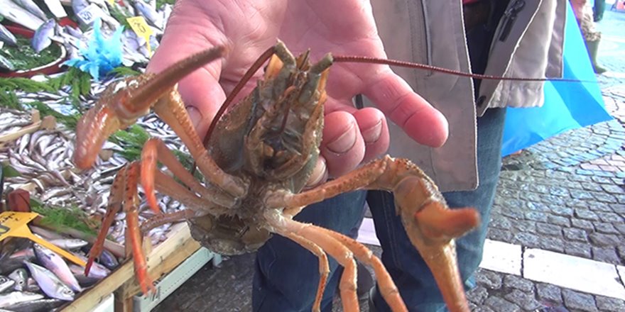 Tezgahta 40 lira, restoranda 500