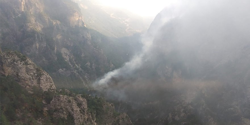 Yıldırım Düşmesi Sonucu Orman Yangını çıktı