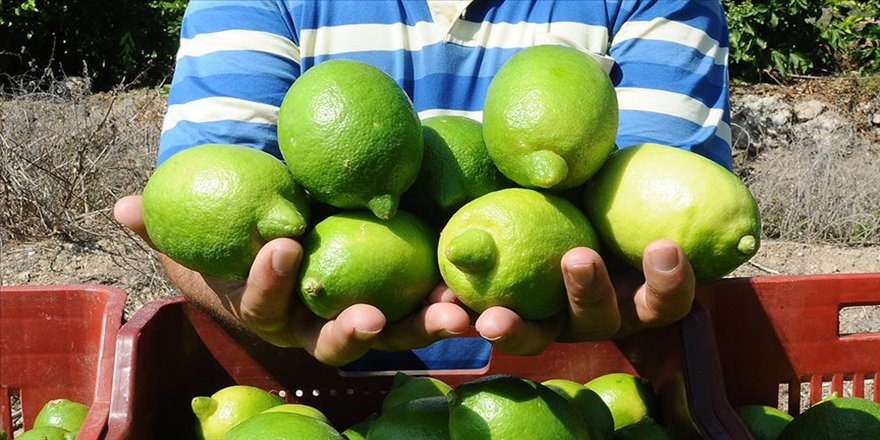 Ekşi limondan 'tatlı' gelir