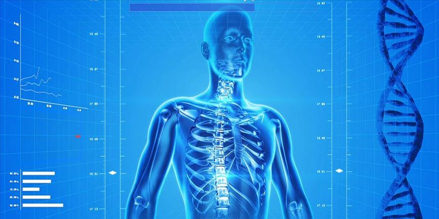 Osteoporoz kalıcı sakatlığa yol açabiliyor