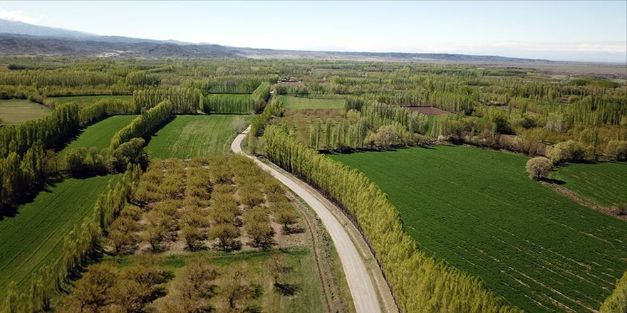 2B'den 3 yılda 1,7 milyar lira gelir bekleniyor