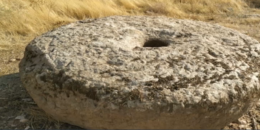 Tarlada gömülü 150 yıllık değirmen taşı bulundu