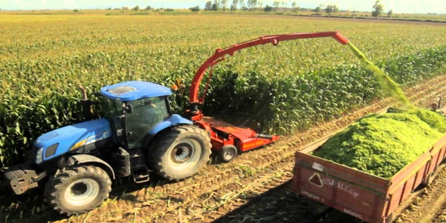 Bitkisel üretimde artış bekleniyor