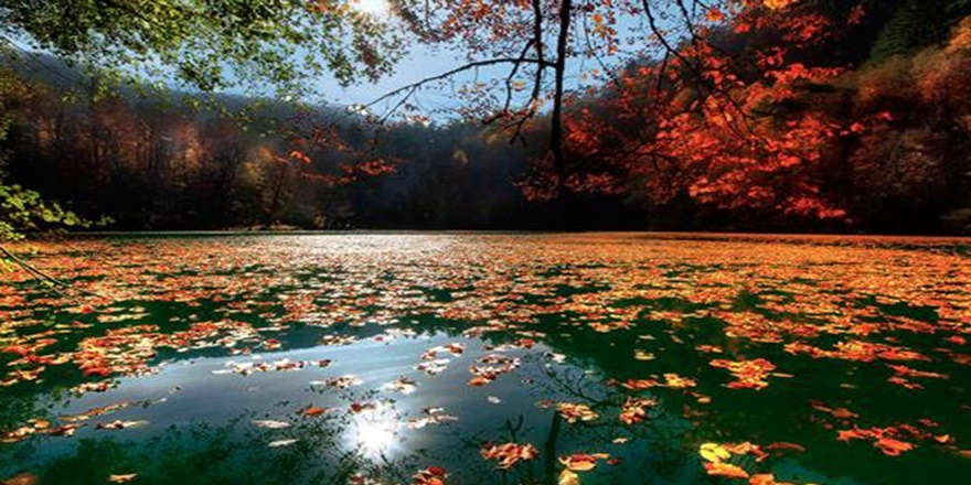 3 milyon hektar alan özel statülerle korunuyor