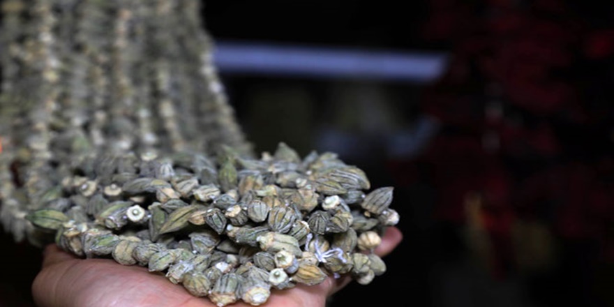 Çiçek bamyanın kilogramı 200 TL