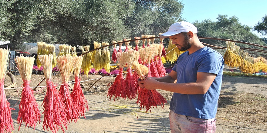 Köylüye dağlardan 'çiçek' gibi kazanç