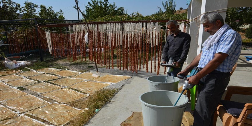 Şire üzümünün organik ürünlere dönüşümü