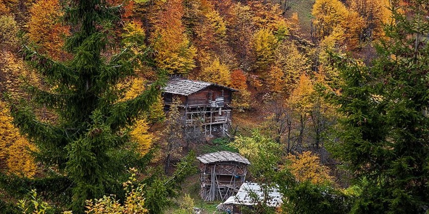 Artvin sonbaharda fotoğraf tutkunlarını cezbediyor