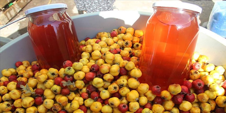 Dağ meyvesi 'alıç'ın lezzet yolculuğu