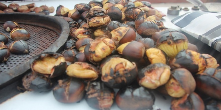 'Dikenli altın'ı geleneksel yöntemle saklıyorlar