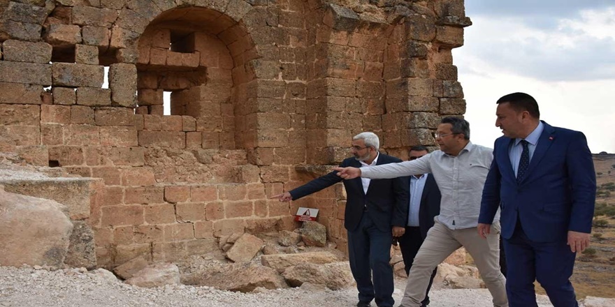 Zerzevan Kalesi Dünya Kültür Mirası listesine alınmalı