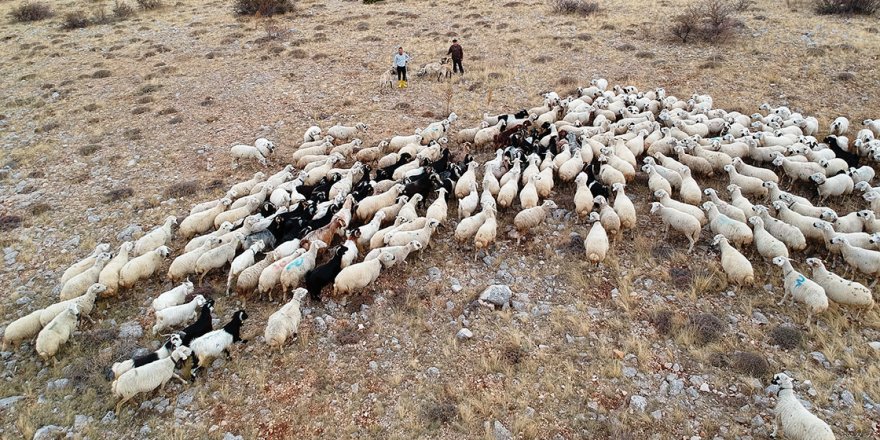 Genç girişimci köyünde örnek oldu