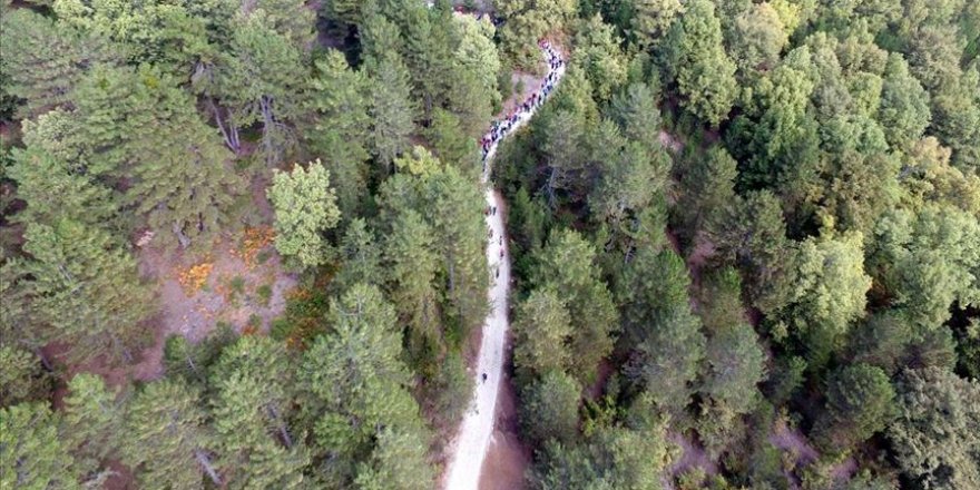 Küçükelmalı Tabiat Parkı 'cazibe merkezi' olma yolunda