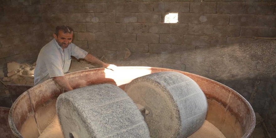 Hasadı yapılan pirinç taş değirmenlerde son aşamadan geçiyor