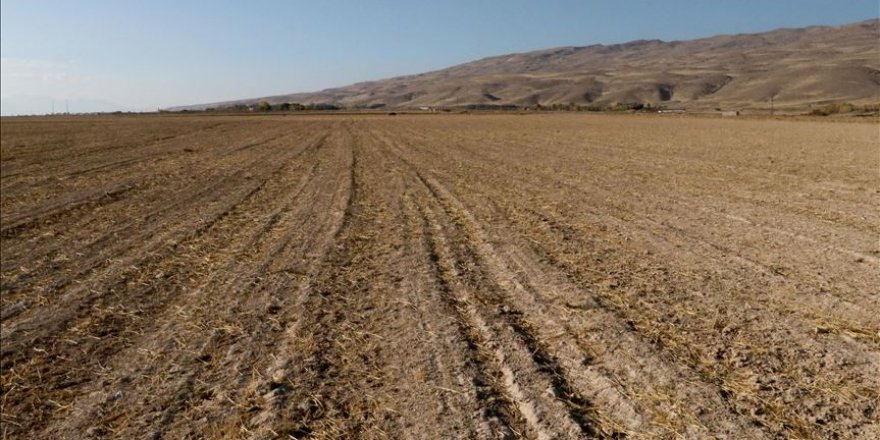 Van'da Tarıma Dayalı İhtisas OSB kurulacak