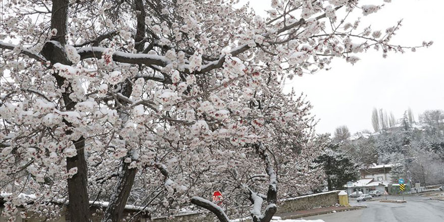 Balkanlar'dan soğuk ve yağışlı hava geliyor