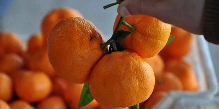 'Mandalina 4,6 kat fazlaya satıldı'