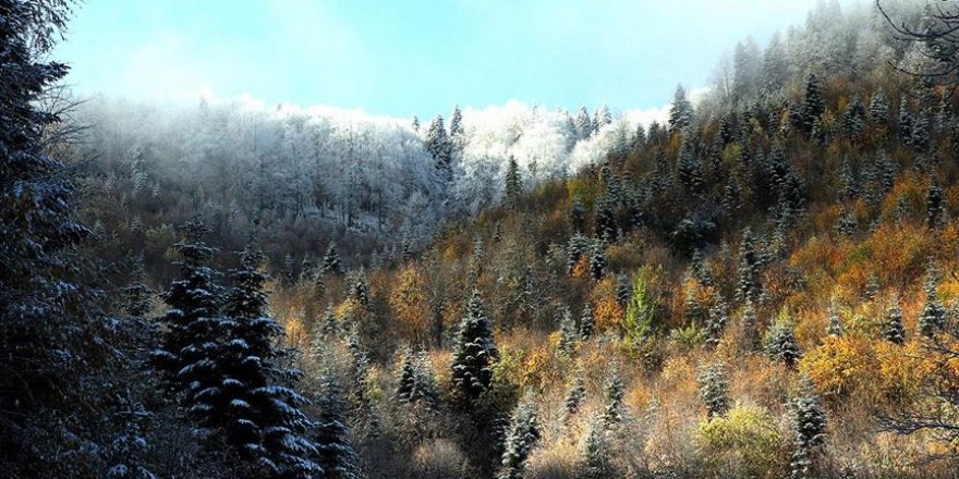 Kastamonu'da sonbaharın renk cümbüşü