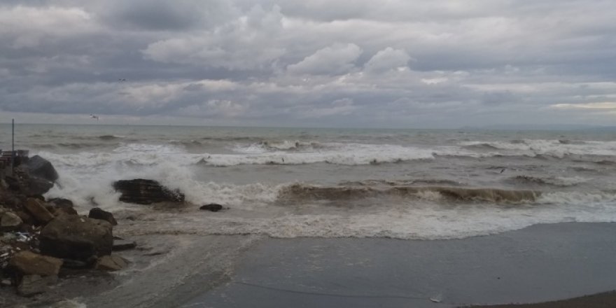 Karadeniz kabardı, dalgalar sahili kapladı